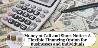 Money at Call and Short Notice: A Flexible Financing Option for Businesses and Individuals
