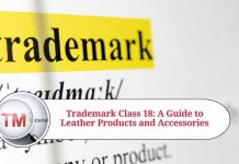 Trademark Class 18