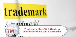 Trademark Class 18