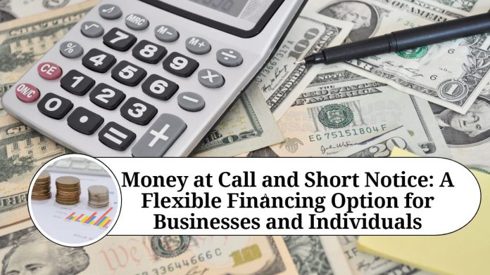 Money at Call and Short Notice: A Flexible Financing Option for Businesses and Individuals