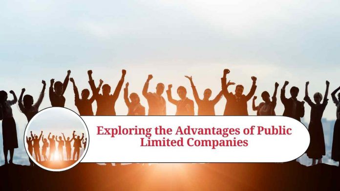 advantages of public limited company