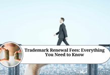 trademark renewal fees