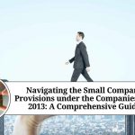 small company companies act 2013