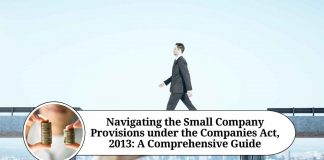 small company companies act 2013