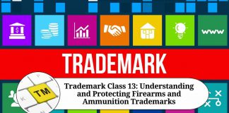 Trademark Class 13