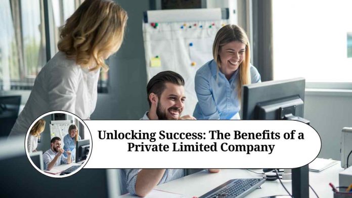 Unlocking Success: The Benefits of a Private Limited Company