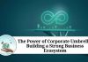 The Power of Corporate Umbrella: Building a Strong Business Ecosystem