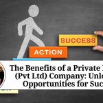 The Benefits of a Private Limited (Pvt Ltd) Company: Unlocking Opportunities for Success