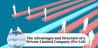 The Advantages and Structure of a Private Limited Company (Pvt Ltd)