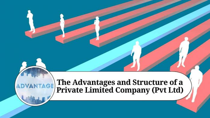 The Advantages and Structure of a Private Limited Company (Pvt Ltd)