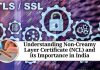 Understanding Non-Creamy Layer Certificate (NCL) and its Importance in India
