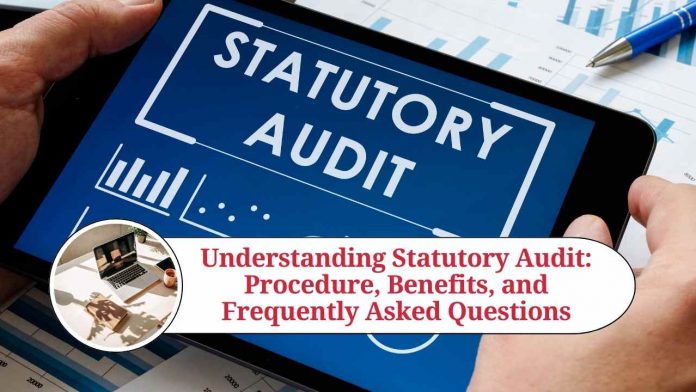 statutory audit procedure