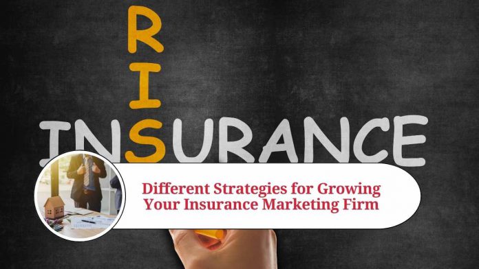 Different Strategies for Growing Your Insurance Marketing Firm