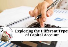 Exploring the Different Types of Capital Account