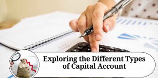 Exploring the Different Types of Capital Account