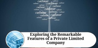 Exploring the Remarkable Features of a Private Limited Company