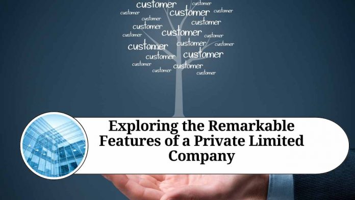 Exploring the Remarkable Features of a Private Limited Company