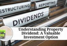 what is property dividend