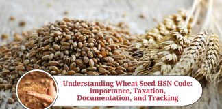 wheat seed hsn code