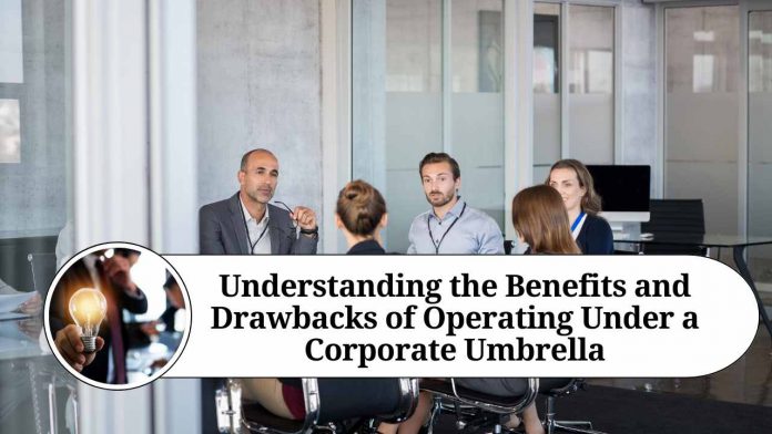 Understanding the Benefits and Drawbacks of Operating Under a Corporate Umbrella