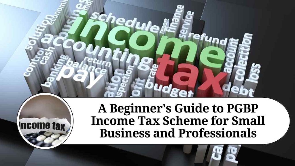 A Beginner's Guide To PGBP Income Tax Scheme For Small Business And ...