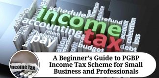 A Beginner's Guide to PGBP Income Tax Scheme for Small Business and Professionals