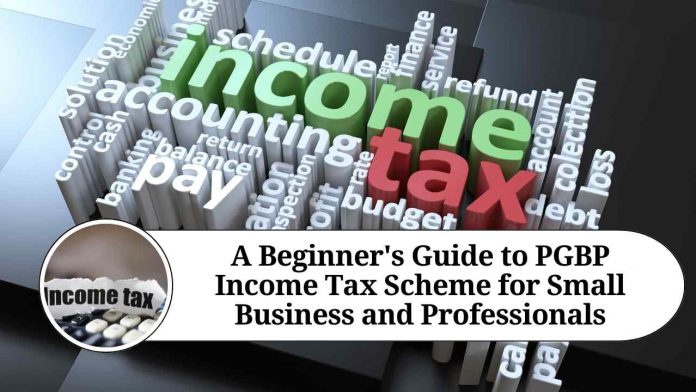 A Beginner's Guide to PGBP Income Tax Scheme for Small Business and Professionals