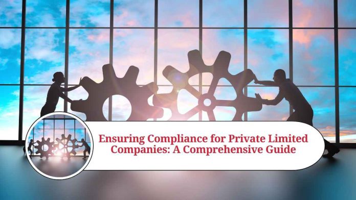 compliance for private limited company