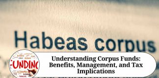 Understanding Corpus Funds: Benefits, Management, and Tax Implications