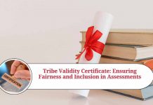 Tribe Validity Certificate: Ensuring Fairness and Inclusion in Assessments