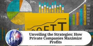 Unveiling the Strategies: How Private Companies Maximize Profits