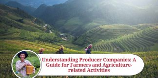 Understanding Producer Companies: A Guide for Farmers and Agriculture-related Activities