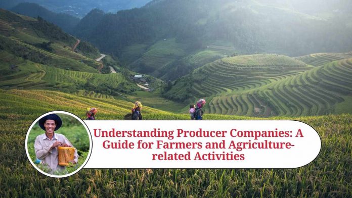 Understanding Producer Companies: A Guide for Farmers and Agriculture-related Activities