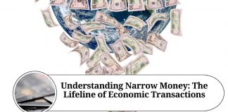 Understanding Narrow Money: The Lifeline of Economic Transactions