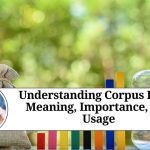 Understanding Corpus Fund: Meaning, Importance, and Usage