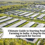 Ultimate Guide to Starting Poultry Farming in India: A Step-by-Step Approach for Success