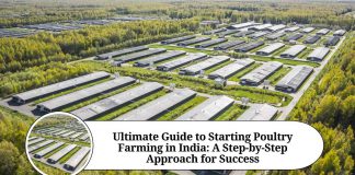 Ultimate Guide to Starting Poultry Farming in India: A Step-by-Step Approach for Success