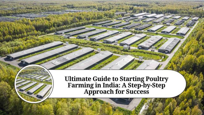 Ultimate Guide to Starting Poultry Farming in India: A Step-by-Step Approach for Success