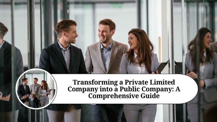 convert pvt ltd company into public company