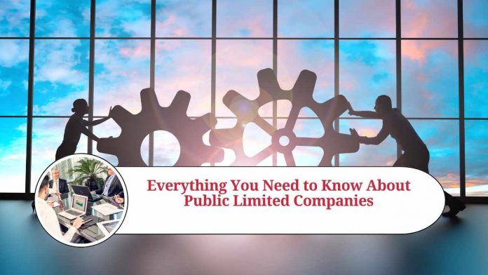 Public Limited Company