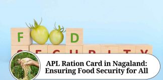 APL Ration Card in Nagaland: Ensuring Food Security for All