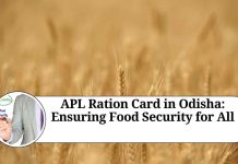 APL Ration Card in Odisha: Ensuring Food Security for All