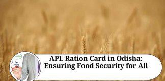 APL Ration Card in Odisha: Ensuring Food Security for All