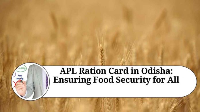 APL Ration Card in Odisha: Ensuring Food Security for All