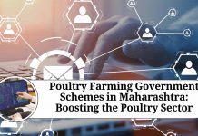 Poultry Farming Government Schemes in Maharashtra: Boosting the Poultry Sector