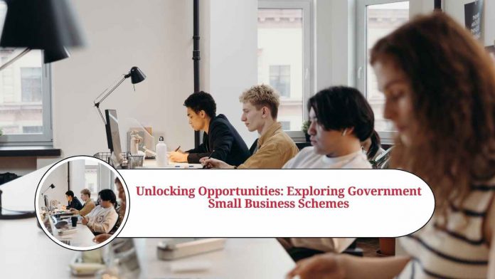 small business scheme government