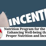 Nutrition Program for the Elderly: Enhancing Well-being through Proper Nutrition and Incentives