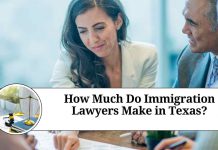 How Much Do Immigration Lawyers Make in Texas?