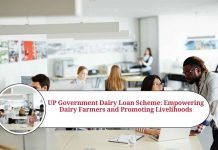 up government dairy loan scheme