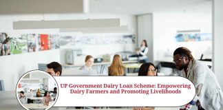 up government dairy loan scheme